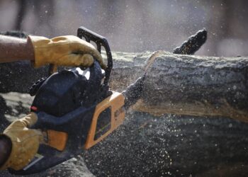 Man's hands hold a chainsaw against a fallen tree as wood chips shoot in all directions.