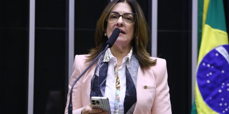 Foto: Vinicius Loures/Câmara dos Deputados