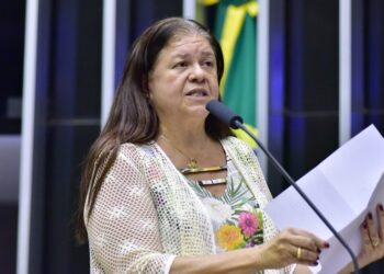 Foto: Zeca Ribeiro / Câmara dos Deputados.