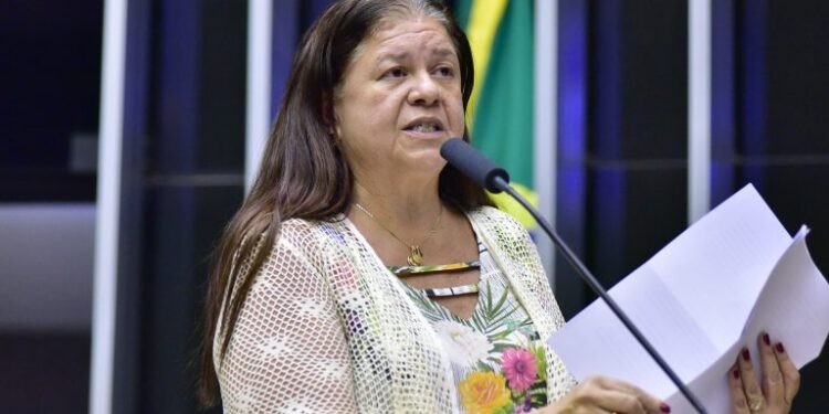 Foto: Zeca Ribeiro / Câmara dos Deputados.