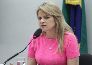 Foto: Vinicius Loures/Câmara dos Deputados.