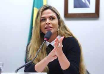 Foto: Vinicius Loures/Câmara dos Deputados.